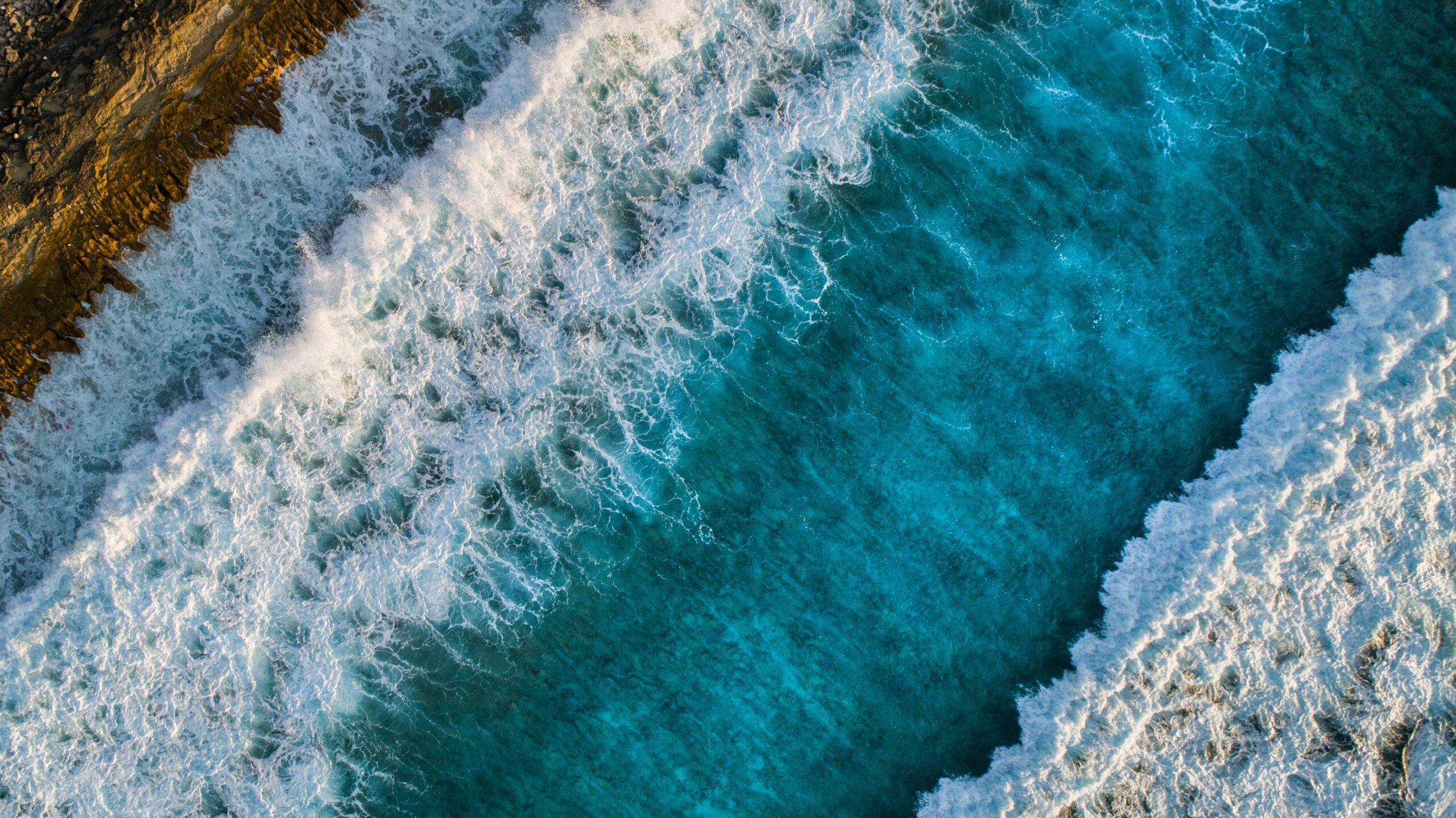 3B400A5C-166A-4DF9-9F95-02ED59994D24-scaled Testimonio